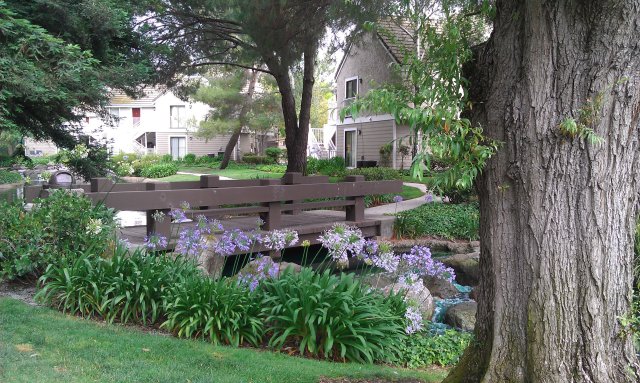 Tuin van hotel